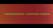 泰迪神经受损恢复时间全从症状到护理的120天康复指南
