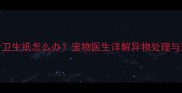 小狗误食卫生纸怎么办宠物医生详解异物处理与预防指南