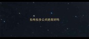 拉布拉多公犬绝育好吗