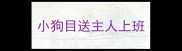 小狗目送主人上班