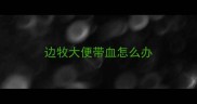 边牧大便带血怎么办