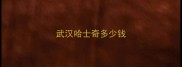 武汉哈士奇多少钱