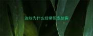 边牧为什么经常犯皮肤病