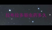 拉布拉多驱虫药多久