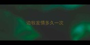 边牧发情多久一次