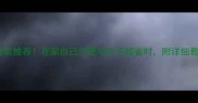 宠物美容工具套装推荐在家自己打理毛孩子超省时附详细教程和选购指南