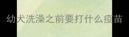 幼犬洗澡之前要打什么疫苗