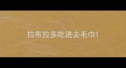 拉布拉多吃进去毛巾