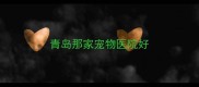青岛那家宠物医院好