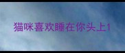 猫咪喜欢睡在你头上