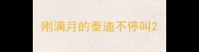 刚满月的泰迪不停叫