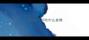 狗狗胃不好吃什么食物