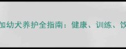 7个月大阿拉斯加幼犬养护全指南健康训练饮食与行为管理