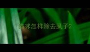 猫咪怎样除去虱子