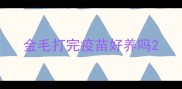 金毛打完疫苗好养吗