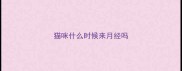 猫咪什么时候来月经吗