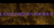 长沙纯种拉布拉多犬幼犬价格区间与饲养成本全犬舍选择指南
