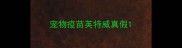 宠物疫苗英特威真假
