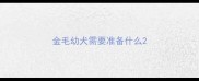 金毛幼犬需要准备什么