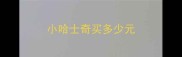 小哈士奇买多少元