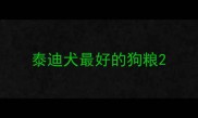 泰迪犬最好的狗粮