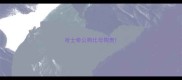 哈士奇公狗比母狗贵