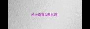 哈士奇喜欢撕东西