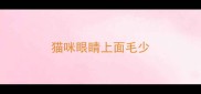 猫咪眼睛上面毛少