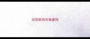 边牧能把毛做直吗