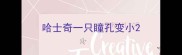 哈士奇一只瞳孔变小