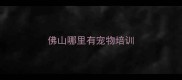 佛山哪里有宠物培训