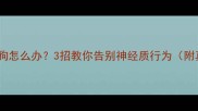 哈士奇咬狗怎么办3招教你告别神经质行为附真实案例