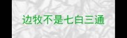 边牧不是七白三通