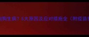 打疫苗后狗狗生病5大原因及应对措施全附疫苗护理指南