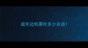 成年边牧要吃多少合适