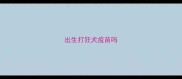 出生打狂犬疫苗吗