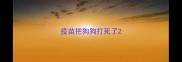 疫苗把狗狗打死了