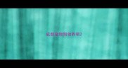 成都宠物狗领养吧