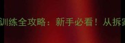 拉布拉多公犬30天训练全攻略新手必看从拆家到乖巧的养成日记