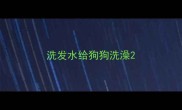 洗发水给狗狗洗澡
