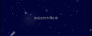 南通宠物市场在哪