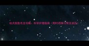 幼犬脱胎毛全攻略科学护理指南附时间表与常见误区