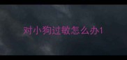 对小狗过敏怎么办
