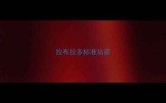 拉布拉多标准站姿