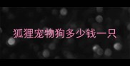 狐狸宠物狗多少钱一只