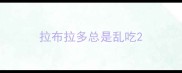 拉布拉多总是乱吃