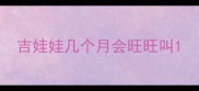 吉娃娃几个月会旺旺叫