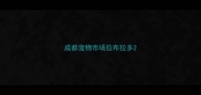 成都宠物市场拉布拉多