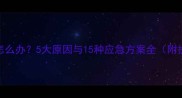 幼犬拒食怎么办5大原因与15种应急方案全附护理指南