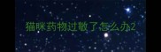 猫咪药物过敏了怎么办